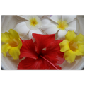 7d81dd52-5e0b-4356-9844-06eef6493a23